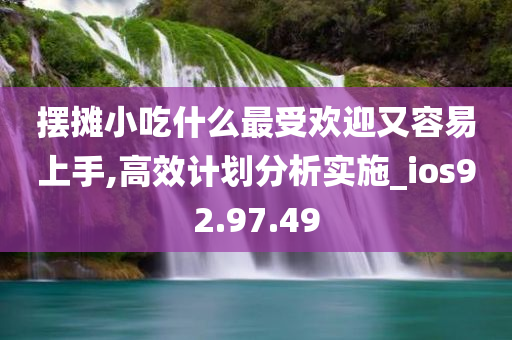 摆摊小吃什么最受欢迎又容易上手,高效计划分析实施_ios92.97.49