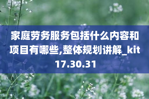 家庭劳务服务包括什么内容和项目有哪些,整体规划讲解_kit17.30.31