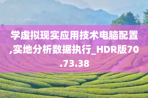 学虚拟现实应用技术电脑配置,实地分析数据执行_HDR版70.73.38