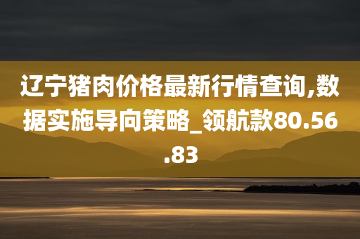 辽宁猪肉价格最新行情查询,数据实施导向策略_领航款80.56.83