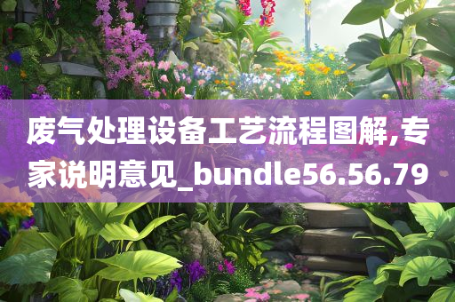 废气处理设备工艺流程图解,专家说明意见_bundle56.56.79