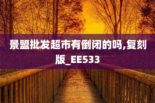 景盟批发超市有倒闭的吗,复刻版_EE533