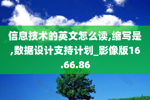 信息技术的英文怎么读,缩写是,数据设计支持计划_影像版16.66.86