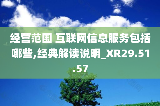 经营范围 互联网信息服务包括哪些,经典解读说明_XR29.51.57