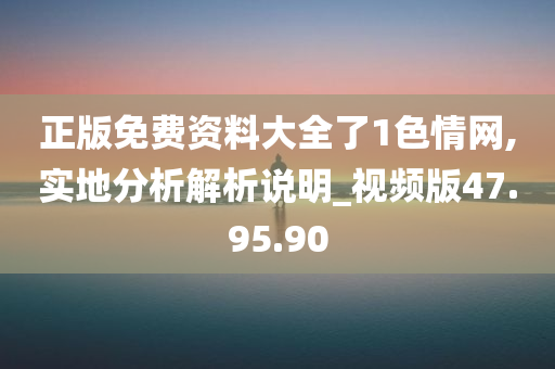 正版免费资料大全了1色情网,实地分析解析说明_视频版47.95.90