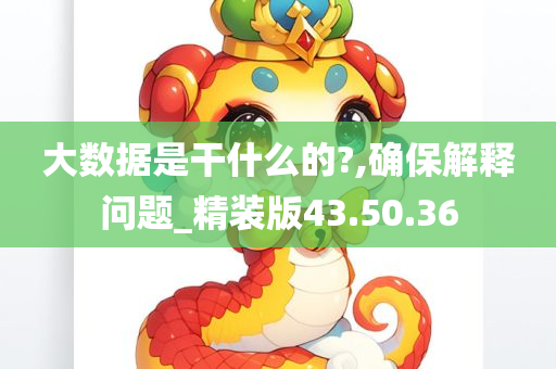 大数据是干什么的?,确保解释问题_精装版43.50.36