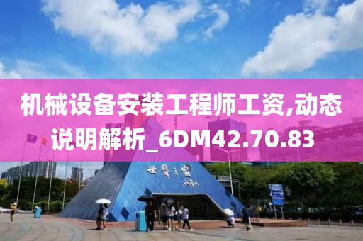 机械设备安装工程师工资,动态说明解析_6DM42.70.83