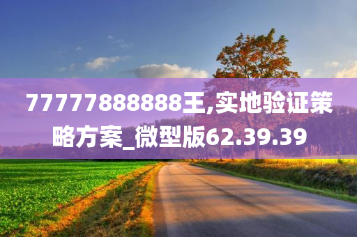 77777888888王,实地验证策略方案_微型版62.39.39