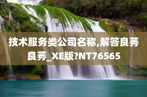 技术服务类公司名称,解答良莠良莠_XE版?NT76565