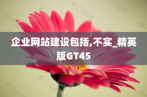 企业网站建设包括,不实_精英版GT45