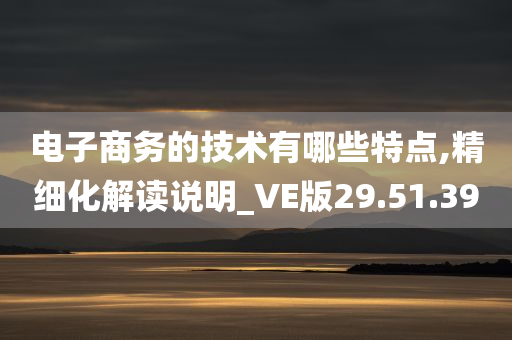 电子商务的技术有哪些特点,精细化解读说明_VE版29.51.39