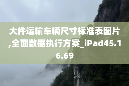 大件运输车辆尺寸标准表图片,全面数据执行方案_iPad45.16.69