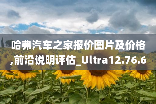 哈弗汽车之家报价图片及价格,前沿说明评估_Ultra12.76.60