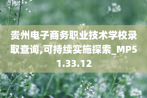 贵州电子商务职业技术学校录取查询,可持续实施探索_MP51.33.12