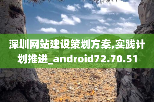 深圳网站建设策划方案,实践计划推进_android72.70.51