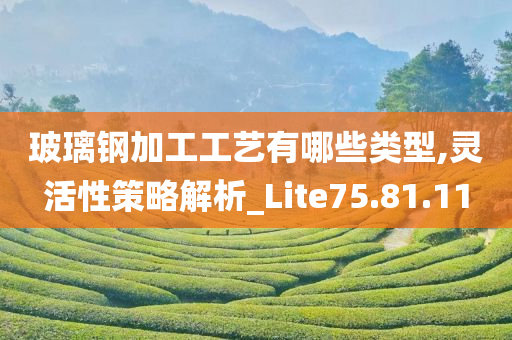 玻璃钢加工工艺有哪些类型,灵活性策略解析_Lite75.81.11