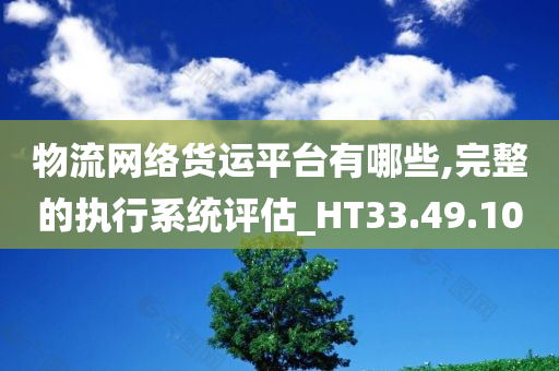 物流网络货运平台有哪些,完整的执行系统评估_HT33.49.10