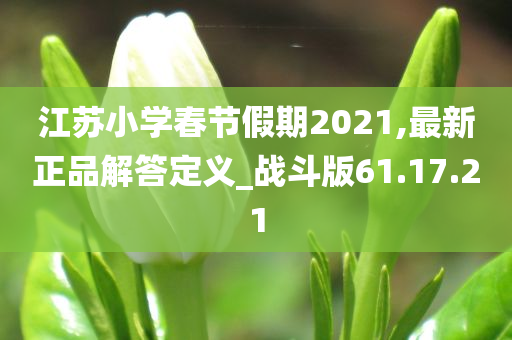 江苏小学春节假期2021,最新正品解答定义_战斗版61.17.21