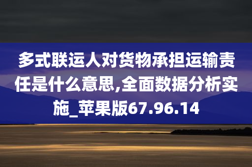 多式联运人对货物承担运输责任是什么意思,全面数据分析实施_苹果版67.96.14