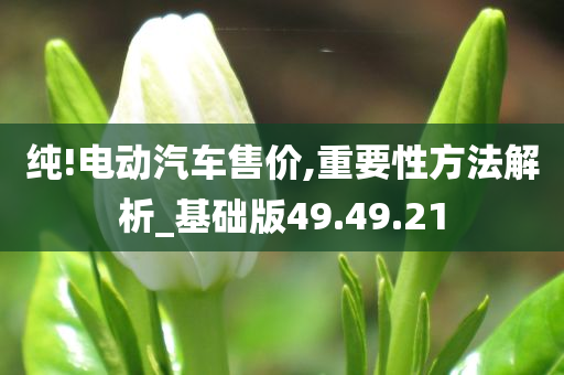 纯!电动汽车售价,重要性方法解析_基础版49.49.21