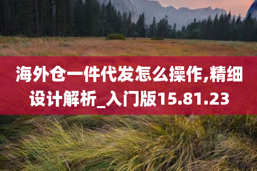 海外仓一件代发怎么操作,精细设计解析_入门版15.81.23