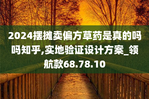 2024摆摊卖偏方草药是真的吗吗知乎,实地验证设计方案_领航款68.78.10