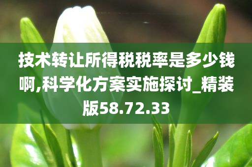 技术转让所得税税率是多少钱啊,科学化方案实施探讨_精装版58.72.33