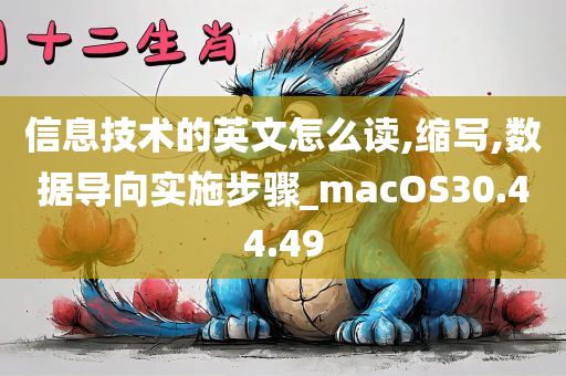 信息技术的英文怎么读,缩写,数据导向实施步骤_macOS30.44.49