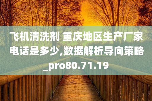 飞机清洗剂 重庆地区生产厂家电话是多少,数据解析导向策略_pro80.71.19