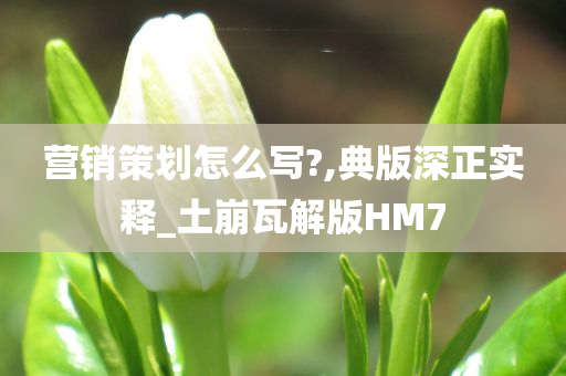 营销策划怎么写?,典版深正实释_土崩瓦解版HM7