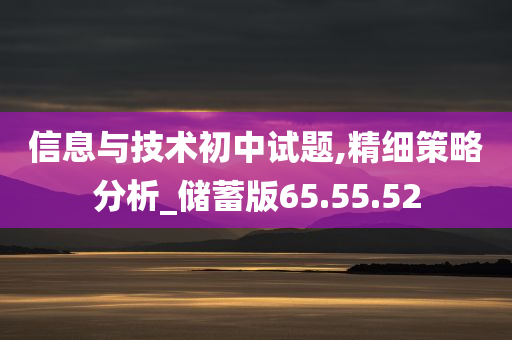 信息与技术初中试题,精细策略分析_储蓄版65.55.52