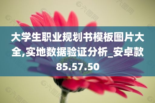 大学生职业规划书模板图片大全,实地数据验证分析_安卓款85.57.50