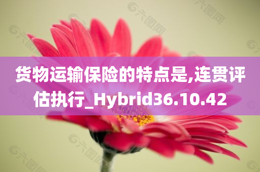 货物运输保险的特点是,连贯评估执行_Hybrid36.10.42