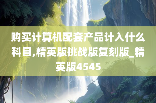 购买计算机配套产品计入什么科目,精英版挑战版复刻版_精英版4545