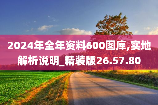 2024年全年资料600图库,实地解析说明_精装版26.57.80