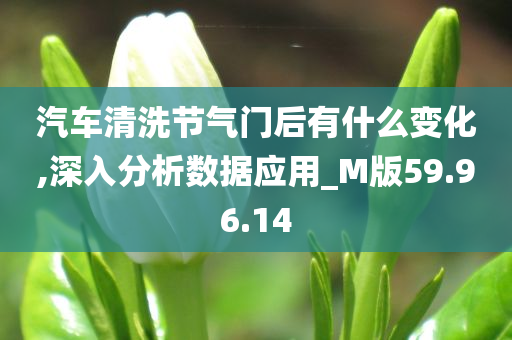 汽车清洗节气门后有什么变化,深入分析数据应用_M版59.96.14