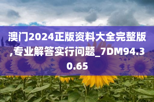 澳门2024正版资料大全完整版,专业解答实行问题_7DM94.30.65