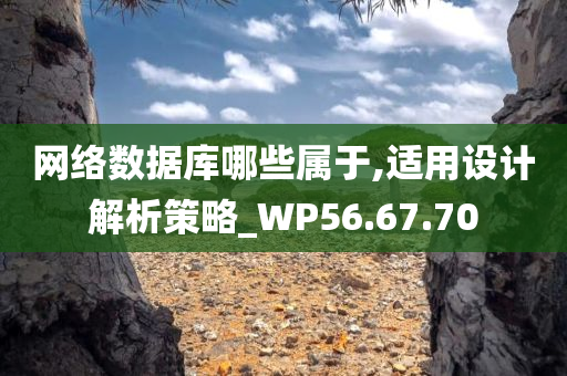 网络数据库哪些属于,适用设计解析策略_WP56.67.70