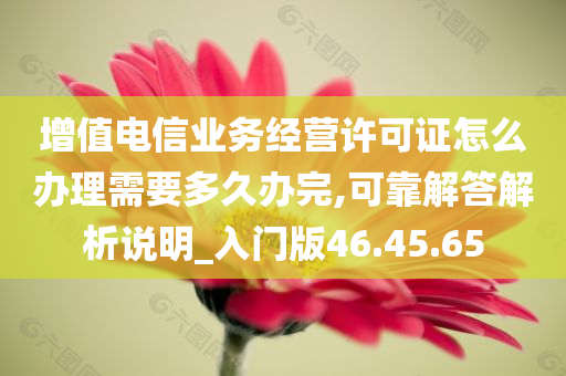 增值电信业务经营许可证怎么办理需要多久办完,可靠解答解析说明_入门版46.45.65