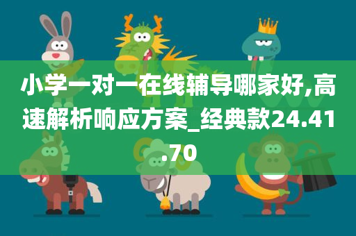 小学一对一在线辅导哪家好,高速解析响应方案_经典款24.41.70