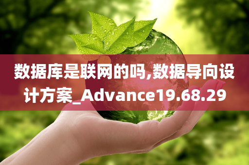 数据库是联网的吗,数据导向设计方案_Advance19.68.29