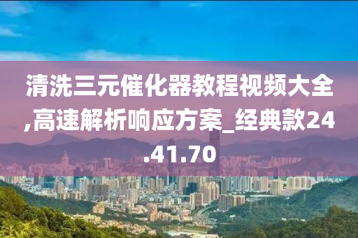 清洗三元催化器教程视频大全,高速解析响应方案_经典款24.41.70