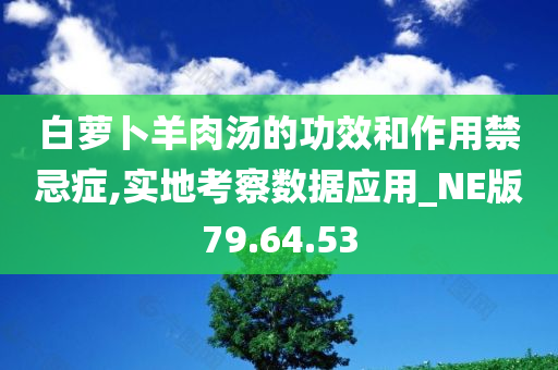 白萝卜羊肉汤的功效和作用禁忌症,实地考察数据应用_NE版79.64.53