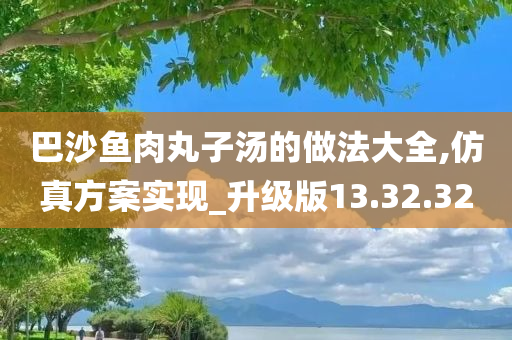 巴沙鱼肉丸子汤的做法大全,仿真方案实现_升级版13.32.32