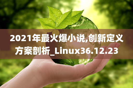 2021年最火爆小说,创新定义方案剖析_Linux36.12.23