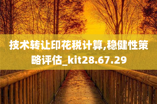 技术转让印花税计算,稳健性策略评估_kit28.67.29