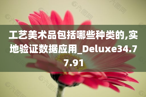 工艺美术品包括哪些种类的,实地验证数据应用_Deluxe34.77.91