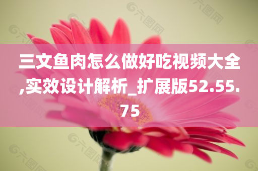 三文鱼肉怎么做好吃视频大全,实效设计解析_扩展版52.55.75