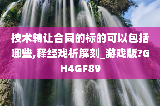 技术转让合同的标的可以包括哪些,释经戏析解刻_游戏版?GH4GF89