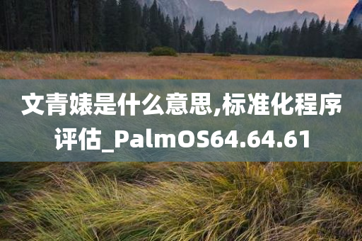 文青婊是什么意思,标准化程序评估_PalmOS64.64.61